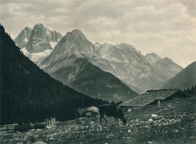 View of the Brenta Group with Alpine Pasture, Madonna di Campiglio, Dolomites, Italy by Eugen Poppel