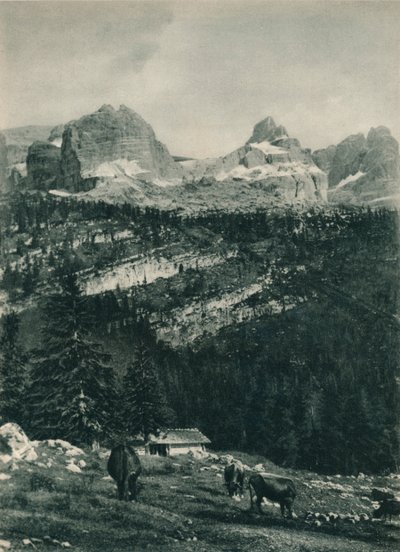 View of the Brenta Group with Alpine Pasture, Madonna di Campiglio, Dolomites, Italy by Eugen Poppel