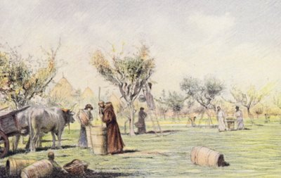 Friar Giles working in the Vineyard by Eugene (after) Burnand