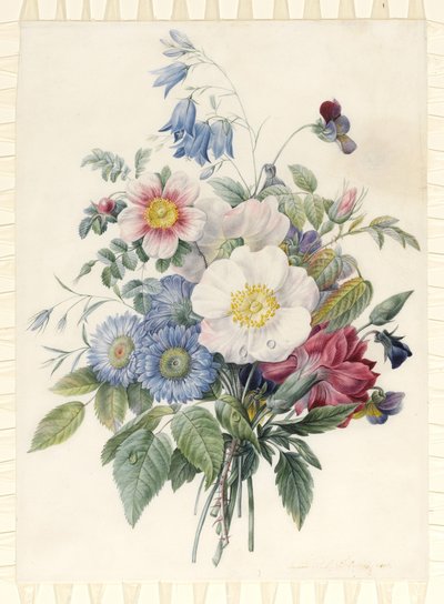 Blue Asters, Rosa Spinosissima Hybrid, Harebell, Violas, Cartnation and a Wild Rose, 1820 by Eugene A. L. d Orleans