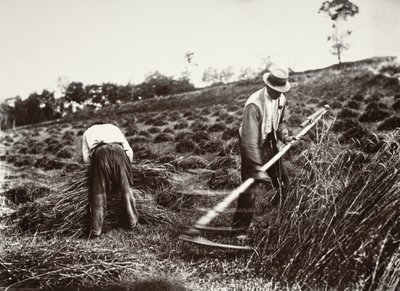 Reapers, Somme by Eugène Atget