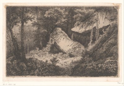 Overgrown Rocks in a Forest by Eugene Bléry