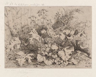 Burdock in Bloom by Eugene Bléry