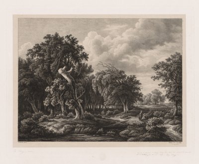 Groups of Various Plants Drawn After Nature: No. 7 by Eugene Bléry
