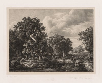 Groups of Various Plants Drawn After Nature: No. 7 by Eugene Bléry