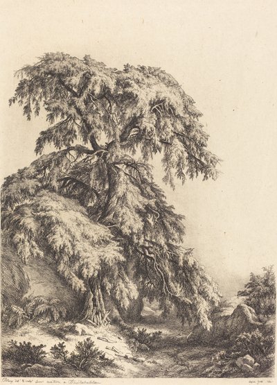 Juniper Tree by Eugene Bléry