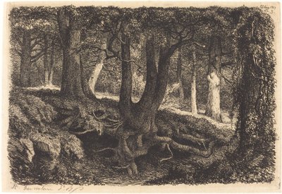 Tree with Roots by Eugene Bléry