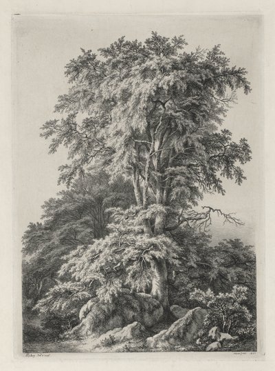 Studies Drawn and Engraved after Nature: The Beach, Fontainbleau by Eugene Bléry