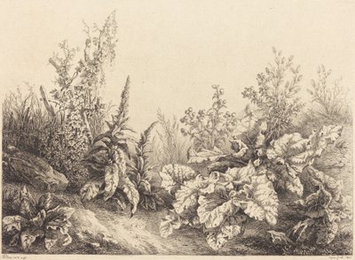 Study of a Burdock by Eugene Bléry