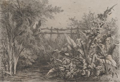 The Pond by Eugene Bléry