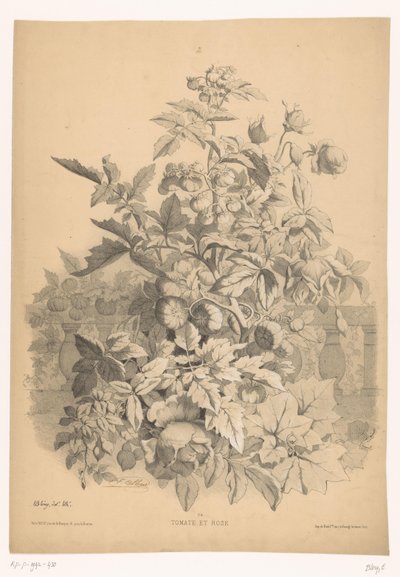Tomatoes and Roses by Eugene Bléry
