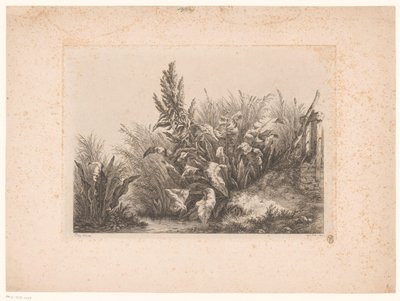 Water Dock and Reeds on the Bank (series title) Drawn and Engraved Studies from Nature by Eugene Bléry