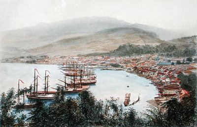 View of Saint-Pierre seen from the gun battery at Sainte-Marthe, Martinique by Eugene Ciceri