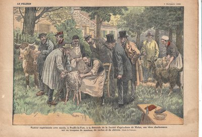 At Pouilly-le-Fort, at the request of the Melun Agricultural Society, Pasteur successfully tested his anthrax virus on a herd of sheep, cows and goats., Le Pèlerin, 5/11/1922 by Eugene Damblans