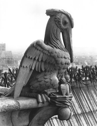 Pelican gargoyle from the balustrade of the Grande Galerie of the west facade, replica of a 12th century original by Eugene Emmanuel Viollet le Duc