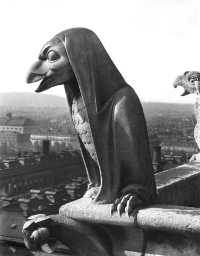 Gargoyle from the balustrade of the Grande Galerie, replica of a 12th century original by Eugene Emmanuel Viollet le Duc
