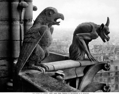 Gargoyles from the balustrade of the Grande Galerie of the west facade, replica of a 12th century original by Eugene Emmanuel Viollet le Duc