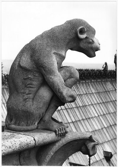 Monkey gargoyle, from the balustrade of the Grande Galerie of the west facade, replica of a 12th century original by Eugene Emmanuel Viollet le Duc