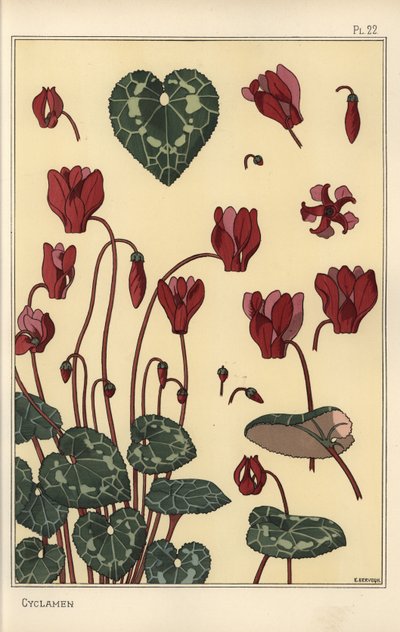 Cyclamen Plant, with Details of the Flower, Leaves, Petals by Eugene Grasset
