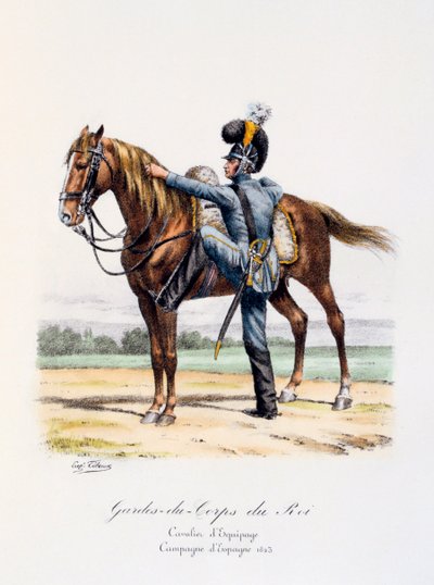 Gardes-du-Corps de Roi, Cavalier d