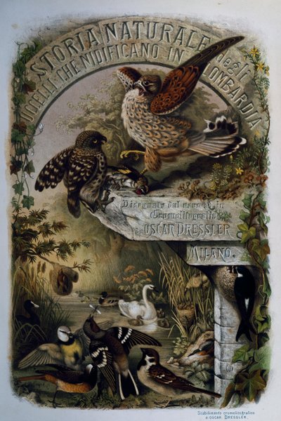 Title page of Natural History of Birds that nest in Lombardy, engraving by Oscar Dressler, Italy by Eugenio Bettoni, Oscar Dressler