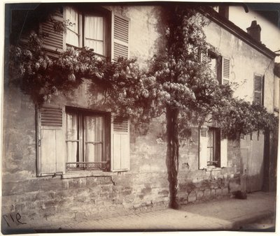 Wisteria, Châtillon by Eugène Atget