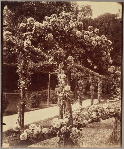 Garden of Bagatelle by Eugène Atget