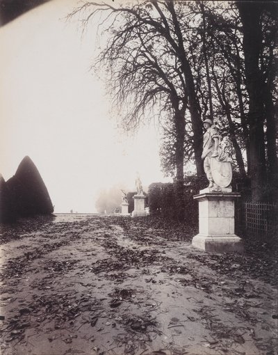 Versailles, Allee des Trois Fontaines, c.1906 by Eugène Atget