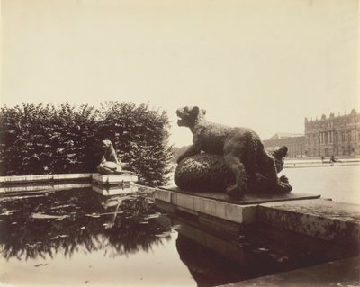 Versailles, Fontaine du Point du Jour, Tiger Subduing a Bear by Houzeau, 1903 by Eugène Atget