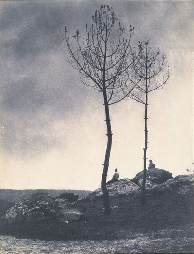 Near the Cave, Burnt Terrain by Eugène Cuvelier