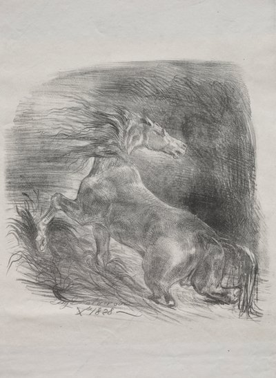 The Wild Horse, or Frightened Horse Leaving the Water by Eugène Delacroix