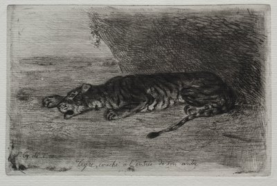 Tiger Sleeping at the Entrance to His Lair by Eugène Delacroix