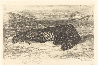 Tiger Sleeping in the Desert, 1846 by Eugène Delacroix
