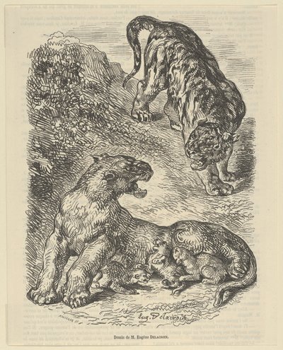 Tigress Attacked by a Tiger While Nursing her Young, 1853 by Eugène Delacroix