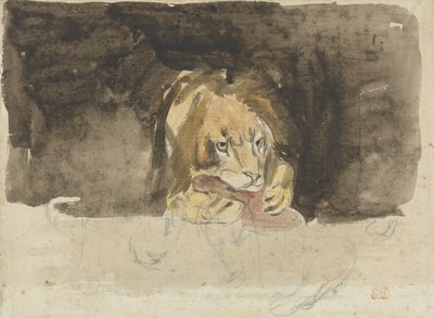 Meat-Eating Lion, Seen from the Front, Emerging Against a Dark Background by Eugène Delacroix