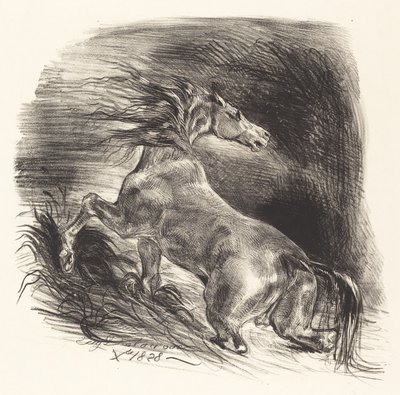 Wild Horse Coming out of the Water by Eugène Delacroix