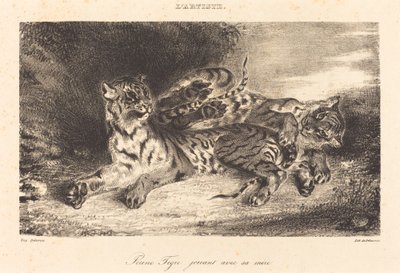 Young Tiger Playing with its Mother by Eugène Delacroix