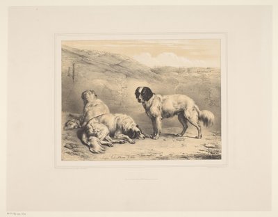 Three Dogs by Eugène Verboeckhoven