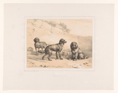 Three Dogs by Eugène Verboeckhoven