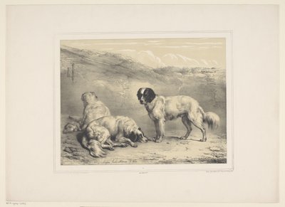 Three Dogs by Eugène Verboeckhoven