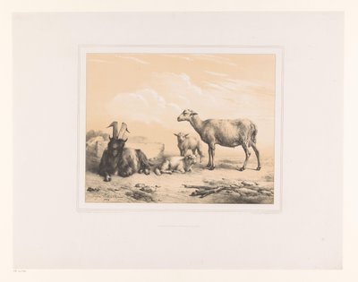 Goat, Sheep, and Two Lambs (Diverse Animals, Études d