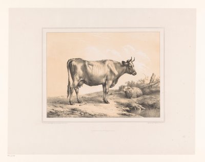 Cow and Sheep in a Landscape (Diverse Animals, Études d