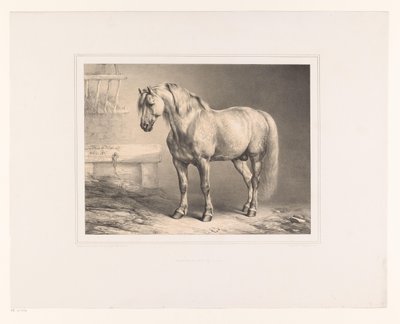 Horse in a Stable by Eugène Verboeckhoven