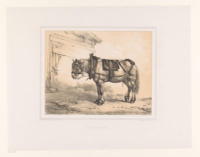 Horse with Saddle and Halter by Eugène Verboeckhoven