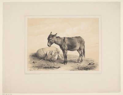 Resting Donkey by Eugène Verboeckhoven