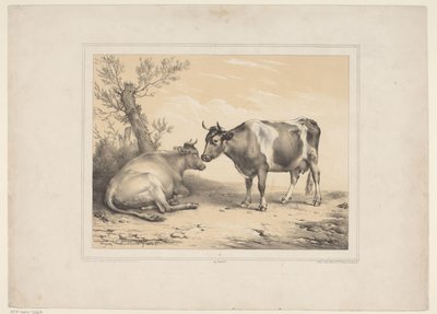 Two Cows (Various Domestic Animals / Thirteen Subjects of Domestic and Indigenous Animals series) by Eugène Verboeckhoven