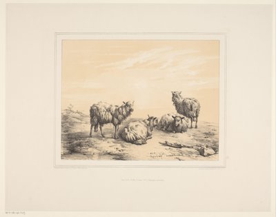 Four Sheep by Eugène Verboeckhoven