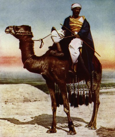 A Bedouin by European Photographer