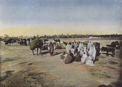 Caravan Bringing Alfa by European Photographer