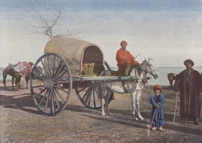 Bukharan Cart on the Move by European Photographer
